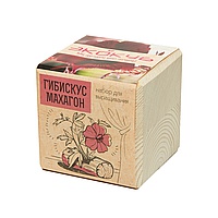Экокуб «Гибискус Махагон»