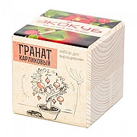 ЭкоКуб «Гранат карликовый»