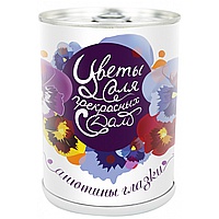 Подарочный набор для выращивания «Цветы для прекрасных дам — Анютины глазки»