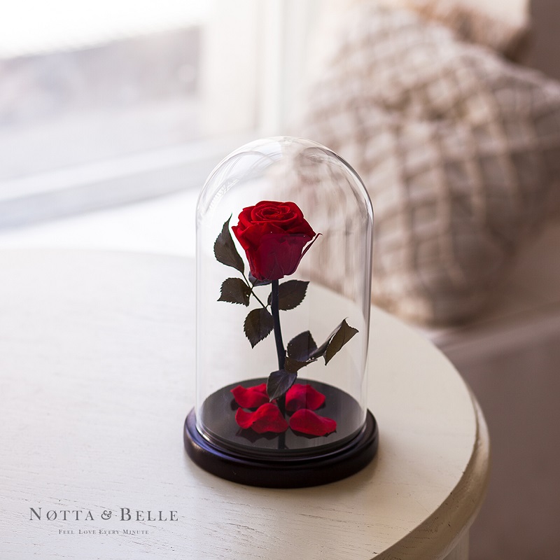 Роза в стеклянной колбе (красная)