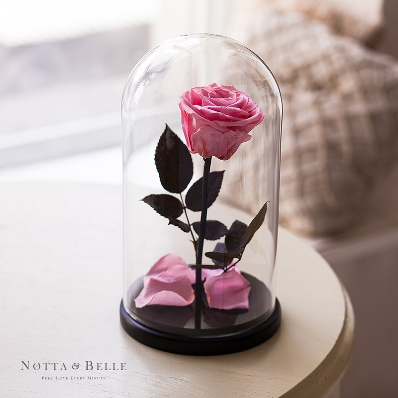 Роза в стеклянной колбе (нежно-розовая)